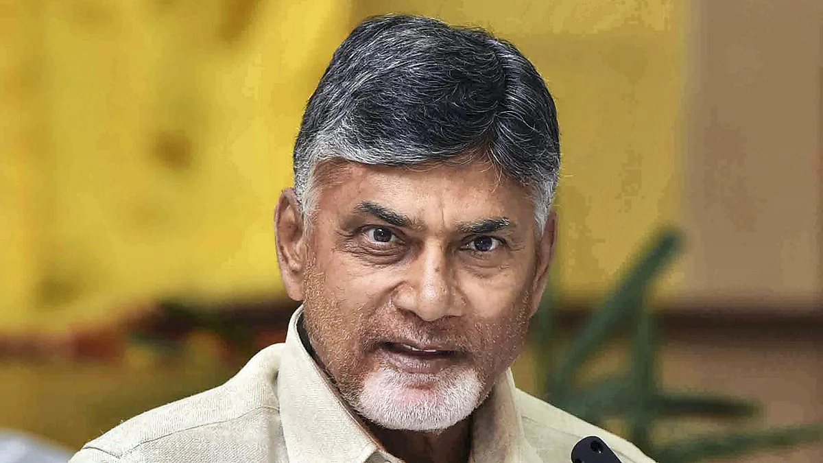 Andhra Pradesh CM Chandrababu Naidu (photo: PTI)