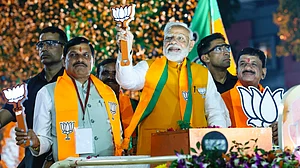 India: from modern democratic nation to banana republic? (photo: PTI)