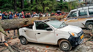 Himachal: Trees uprooted, vehicles damaged in rain, hailstorm; yellow alert sounded