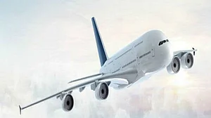 Emirates flight strikes flamingo flock in Mumbai, angering environmentalists