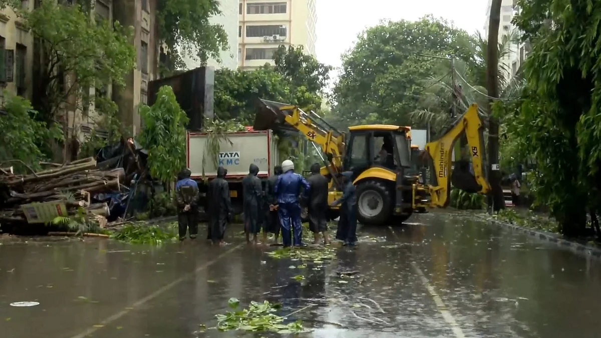 Civic workers remove an uprooted tree in Kolkata on 27 May (photo: PTI)