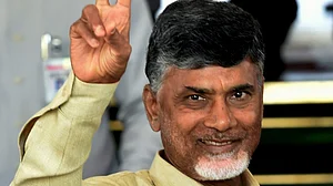 Chandrababu in revival mode, again