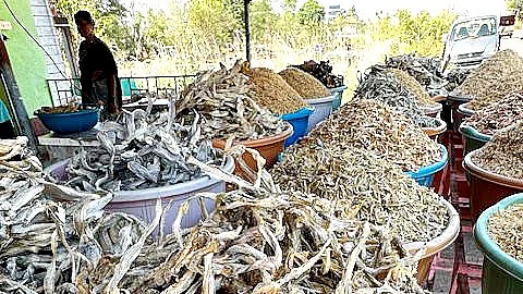 Pickled, spiced and salted and sunned: Beyond seasonal eating