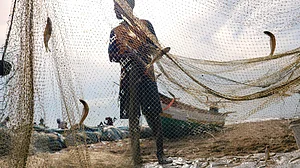 Chennai fishing: Between the city lords and the deep blue sea