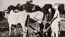 Nehru’s Word: We can still make our election process smoother