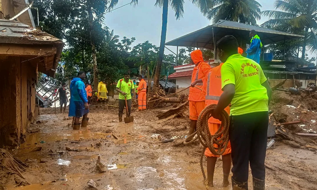 Rescue teams intensified efforts to find survivors in Wayanad (photo: PTI)