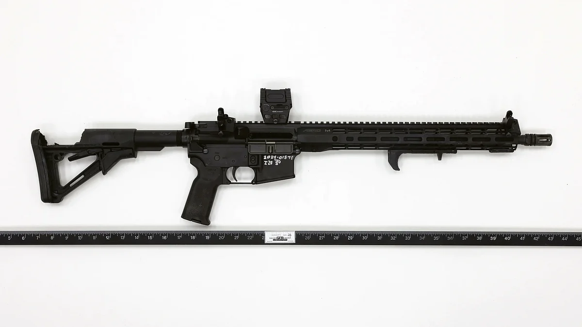 The photo of the rifle, an AR-15 by DPMS Panther Arms, released by FBI (photo: @FBI/X)