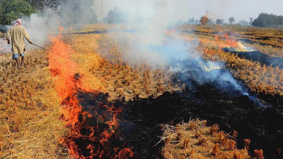 A farmer burns paddy stubble at a farm on the outskirts of Amritsar