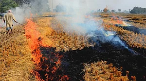 SC seeks report from CAQM on steps taken to curb stubble burning