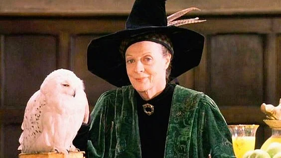 Maggie Smith as Minerva McGonagall
