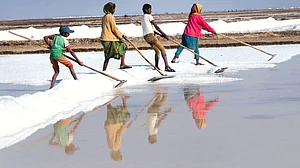 256 acres of Mumbai’s salt pans have been handed over to the Adani Group