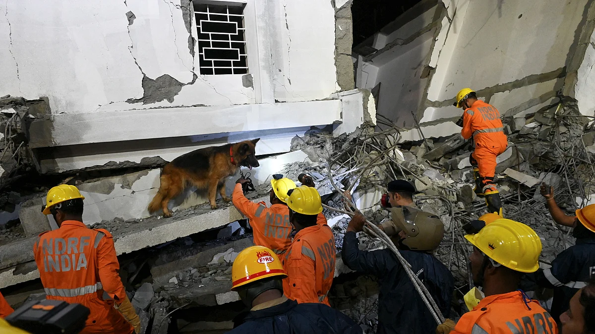 Sniffer dogs helping rescue teams at the site of a seven-storey building collapsed in Bengaluru