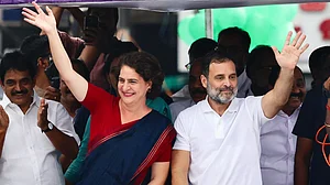 Wayanad election results 2024: Priyanka Gandhi leads by over 3 lakh votes