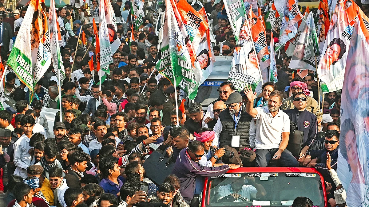 The Bharat Jodo Yatra saw Gandhian, socialist, liberal and Ambedkarite organisations join in