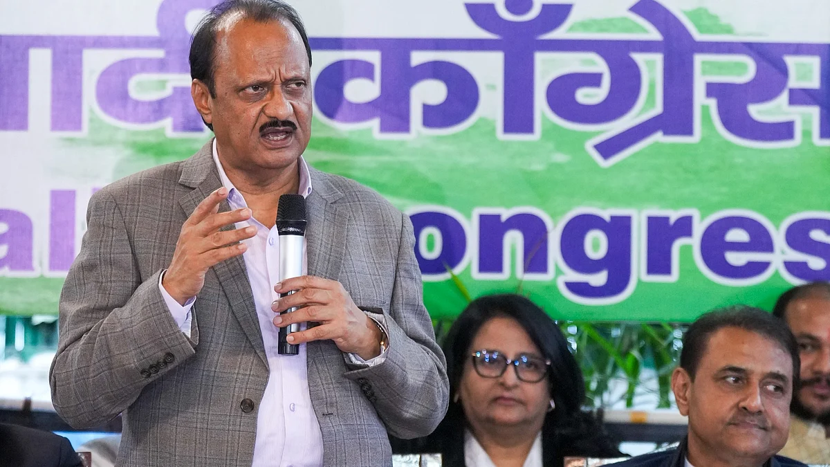 NCP chief Ajit Pawar addresses party workers in New Delhi on 28 November (photo: PTI)