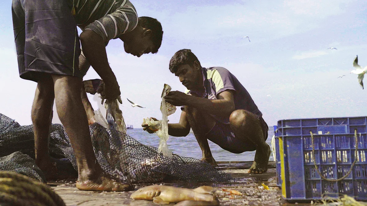 A still from 'Against the Tide'