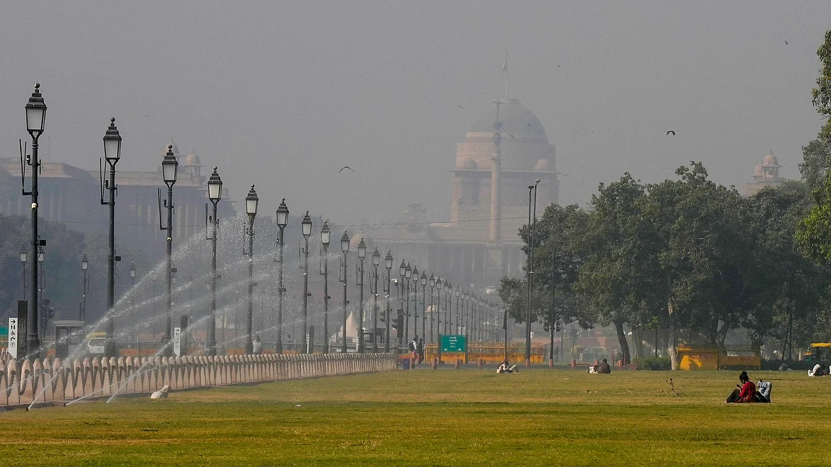 Delhi got a bright winter sunny day after a long time on Sunday, 1 Dec. 2024 (Photo: PTI)
