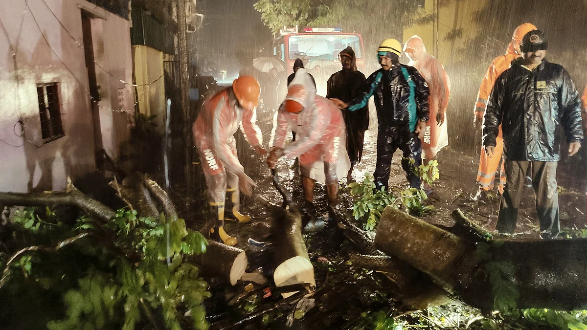 Disaster relief workers remove a tree in Chennai on 30 November (photo: PTI)