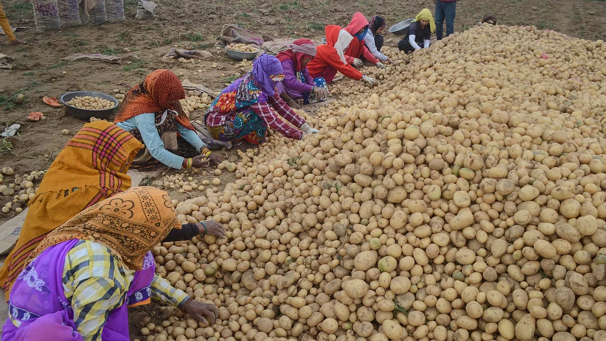 Representative image (photo: PTI)