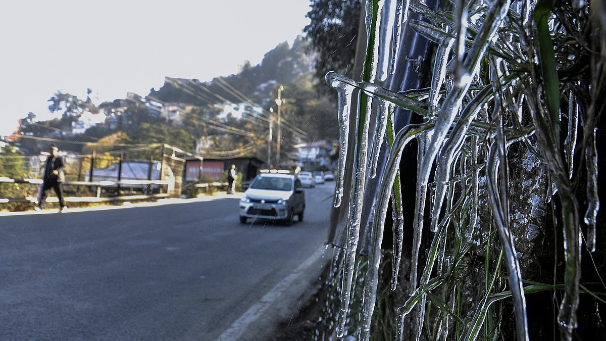 Shimla, 8 Dec. 2024 (Photo: PTI)