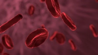 Can this Indian gene therapy cure haemophilia? (representative image of red blood cells)