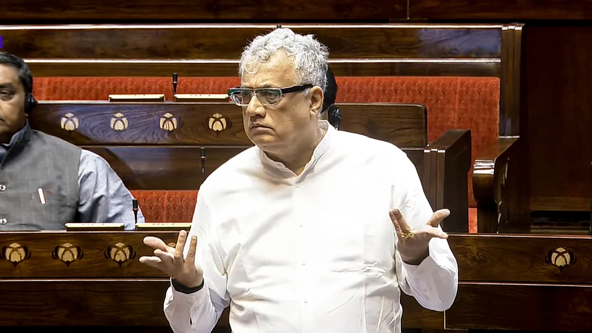 Trinamool MP Derek O'Brien in Rajya Sabha (photo: PTI)