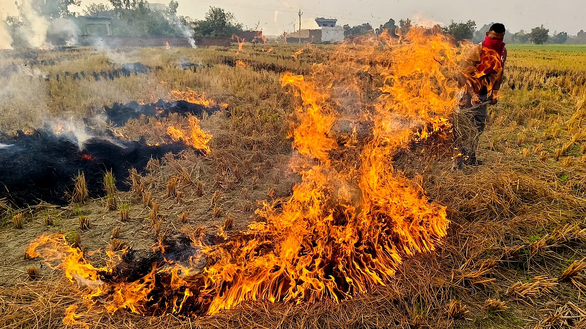 A farmer burns straw and stubble in Amritsar (photo: PTI)
