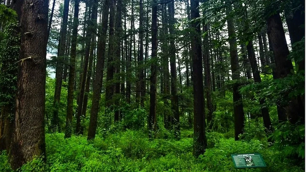 Representational image (photo: @rameshpathania/X)
