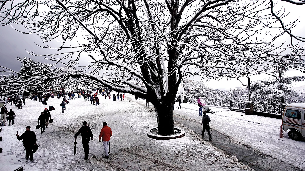This was Shimla last winter; this year it took some ‘artificial snowfall’ to bring in the snow-tourists