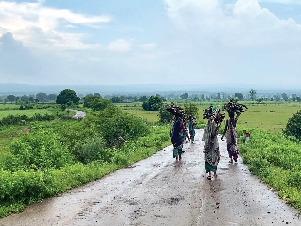 Village women return home after gathering firewood