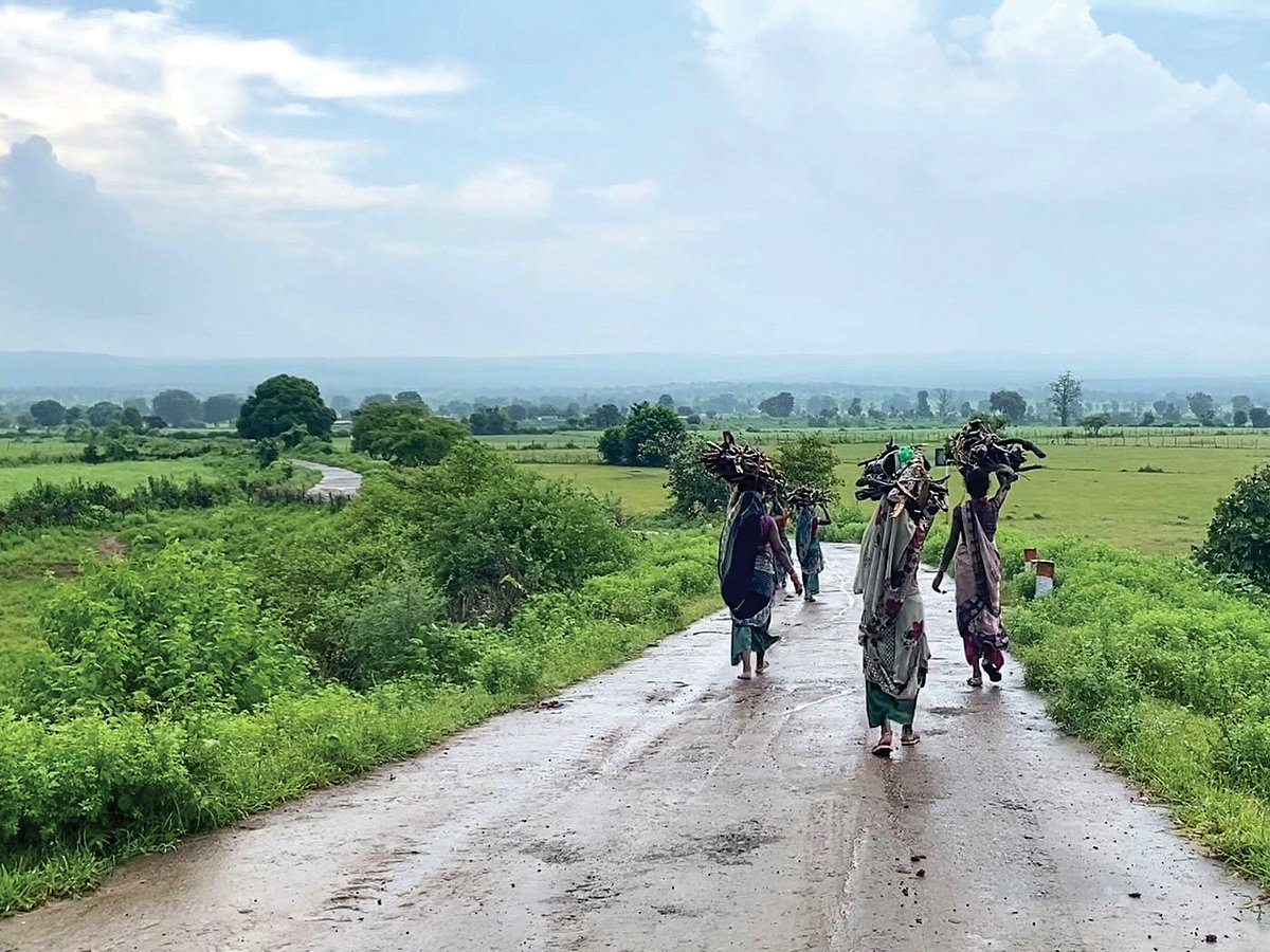 Village women return home after gathering firewood