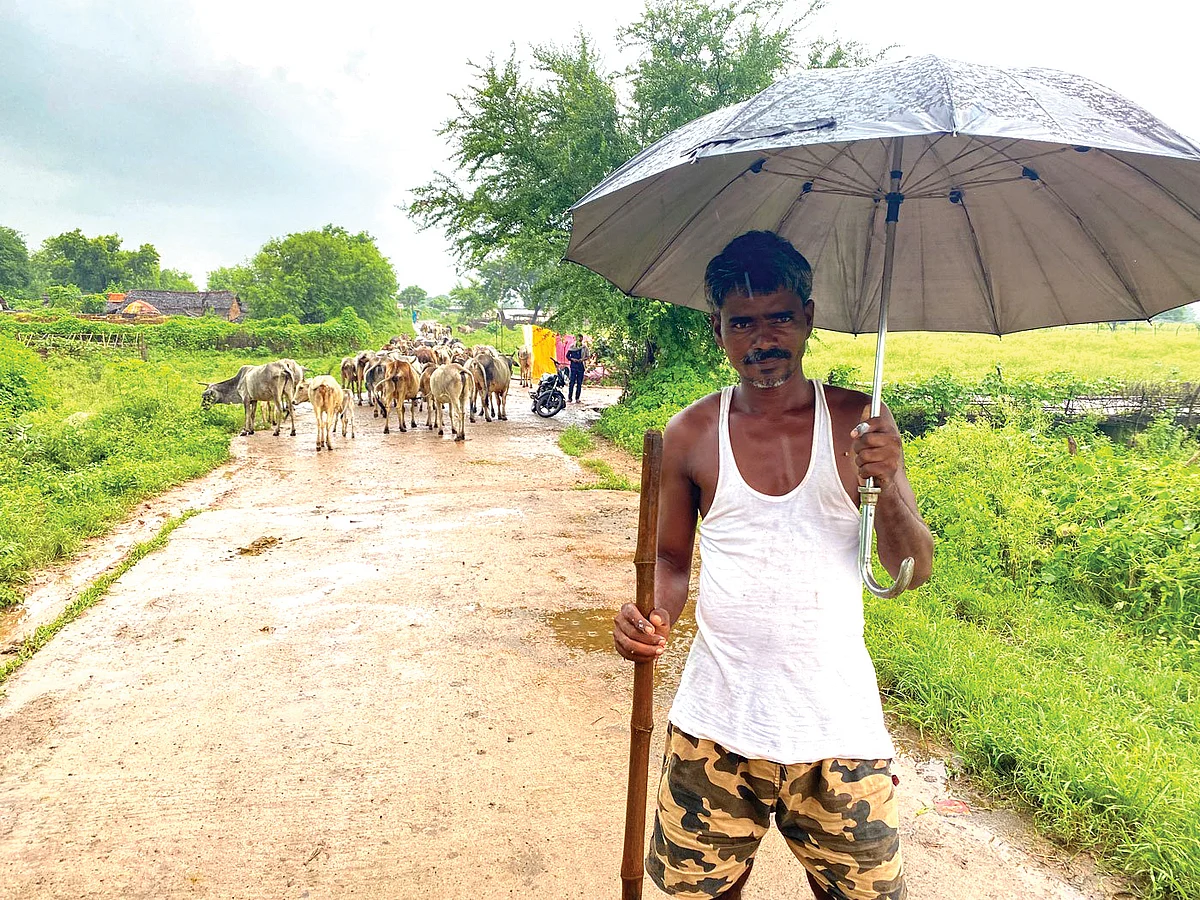 Mahasingh Rajbhor is a cattle herder in Sukhwaha, one of the villages that will be drowned