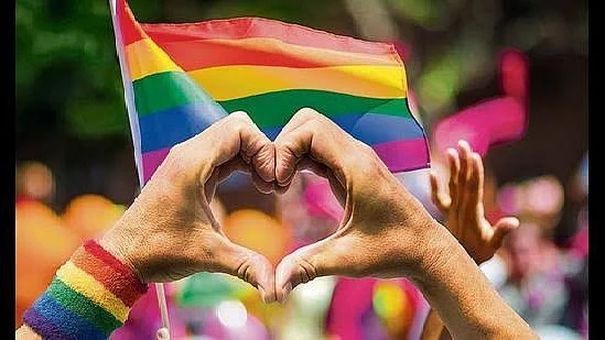 The law recognises live-in same-sex relationships in India but denies legality to equal marriage rights