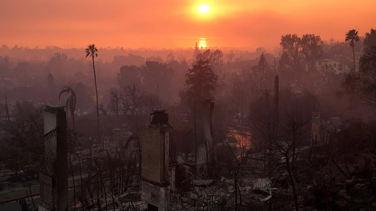 The devastation of the Palisades Fire on 9 January (photo: PTI)