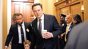 Elon Musk as DOGE chief (file photo)