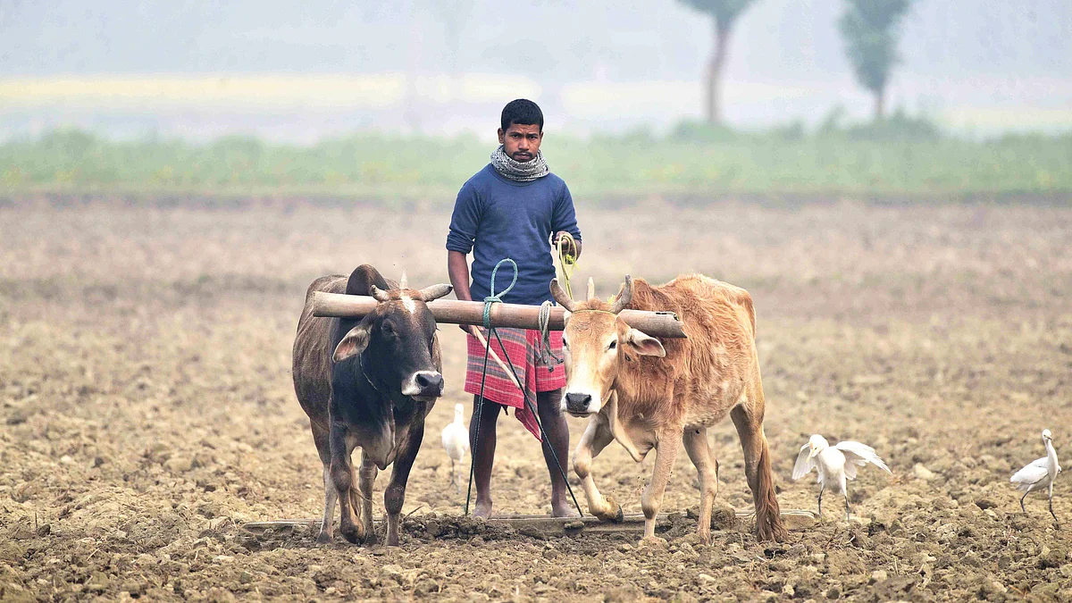 There is no sign of debt relief for farmers