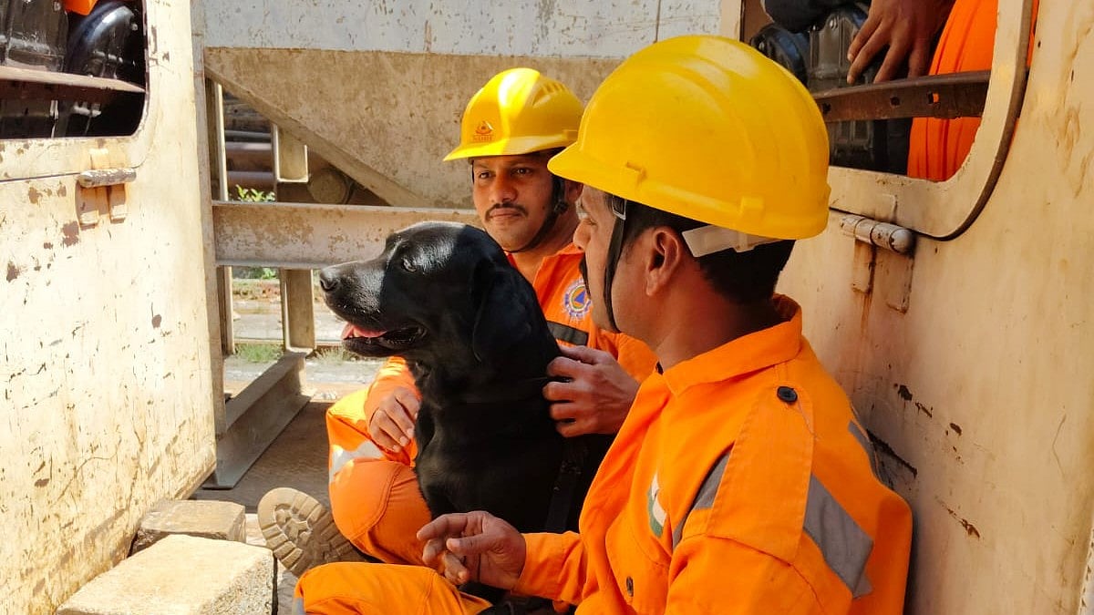 Not all heroes are human: Sniffer dog on standby to locate the trapped team in the SLBC tunnel