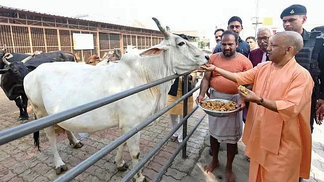 Yogi Adityanath’s government has allocated Rs 2,000 crore for gauvansh in this year’s budget