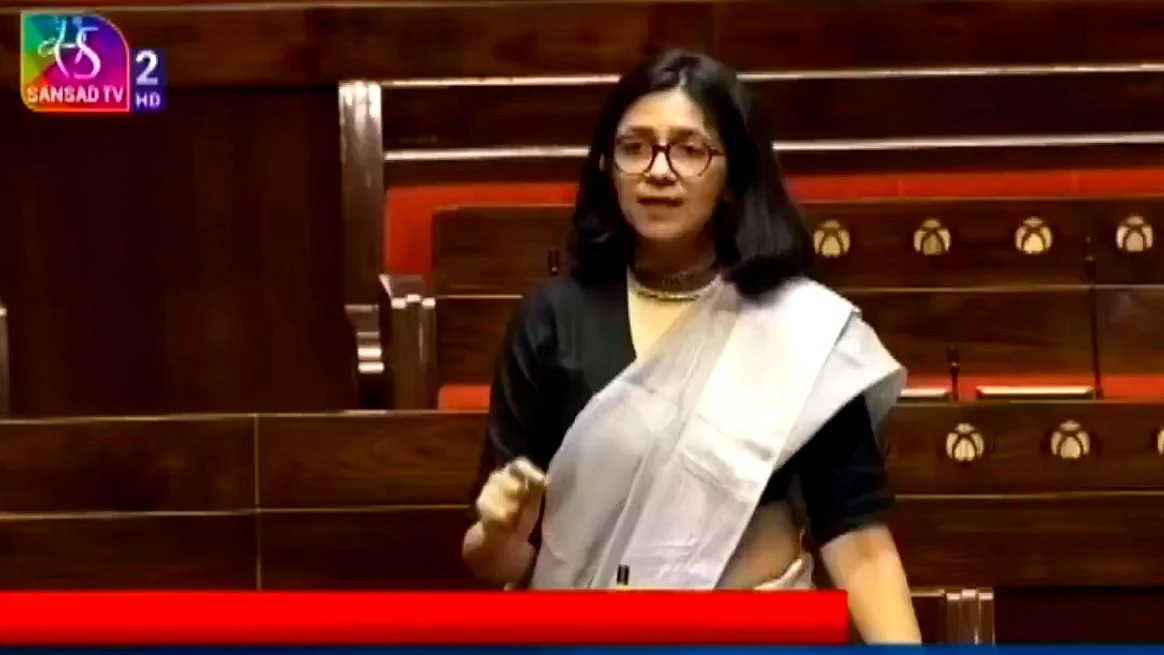 Swati Maliwal in Parliament (photo: @SwatiJaiHind/X)