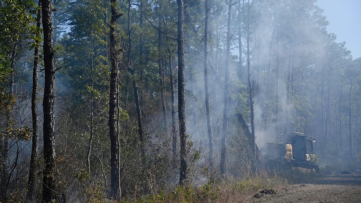 A glimpse of the Covington fire (photo: @ForestryCommish/X)
