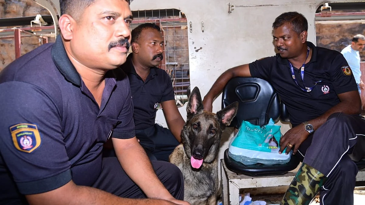 The rescue team with a cadaver dog in Nagarkurnool on 9 March (photo: @KanizaGarari/X)