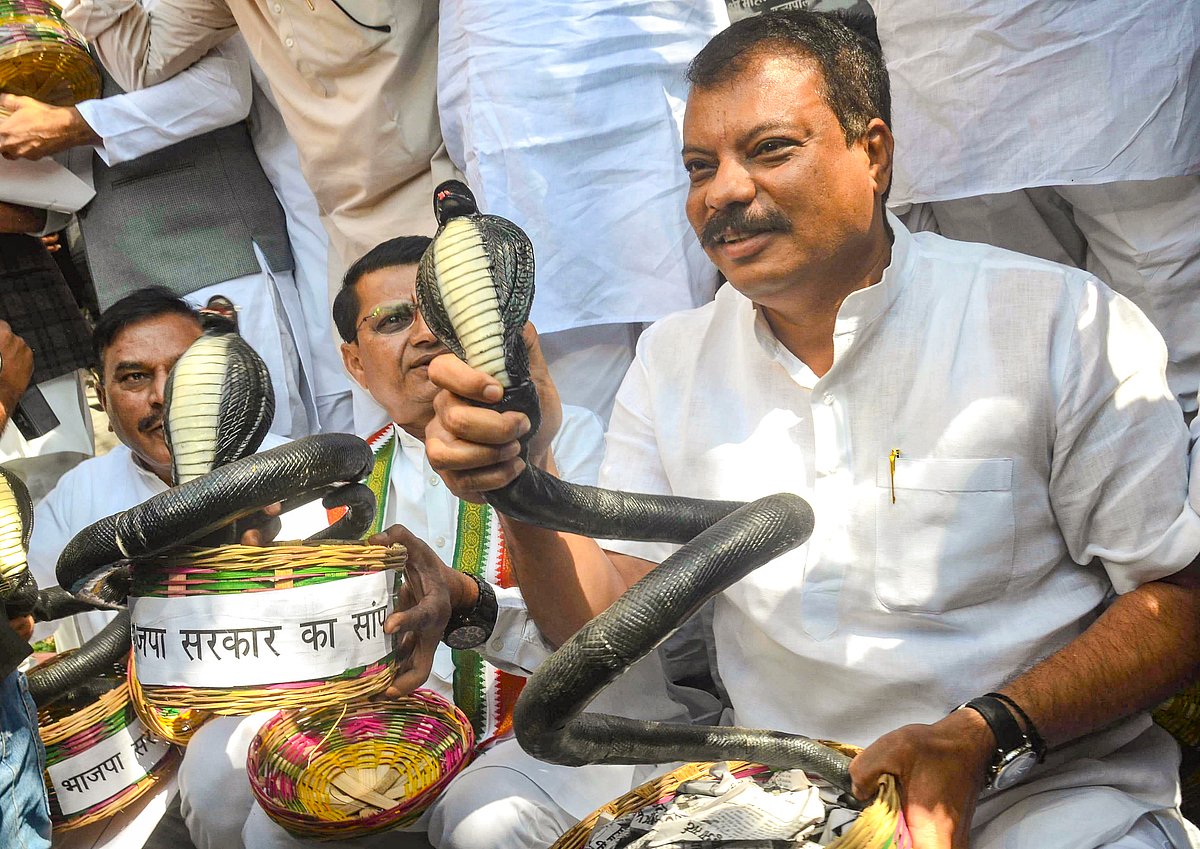 Congress MPs protesting aganist the BJP government