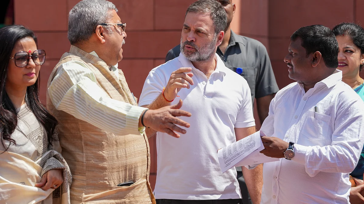 Rahul Gandhi in Parliament on 25 March (photo: PTI)
