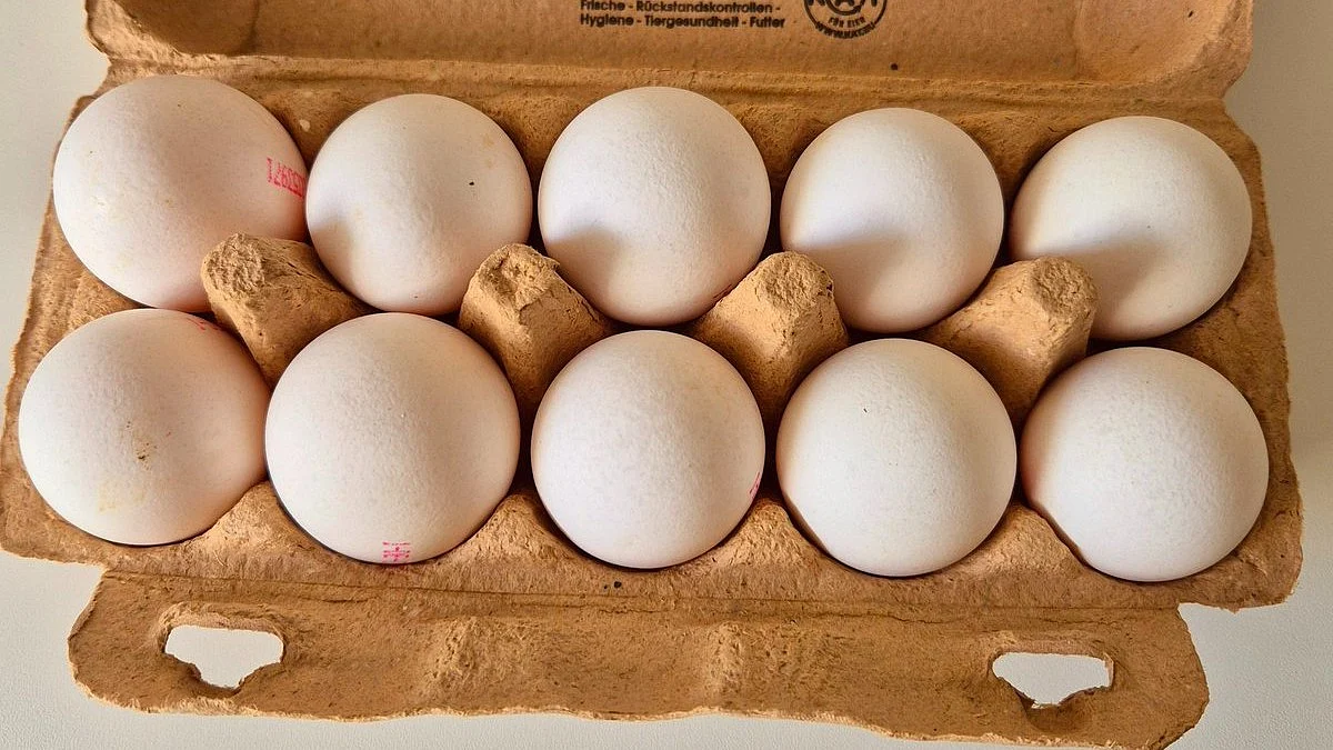 A box of 10 eggs in Germany costs $ 3.79 — where in the US, prices have crossed USD 10 in some places