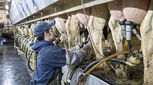 UK bans personal imports of meat, dairy products from all EU countries