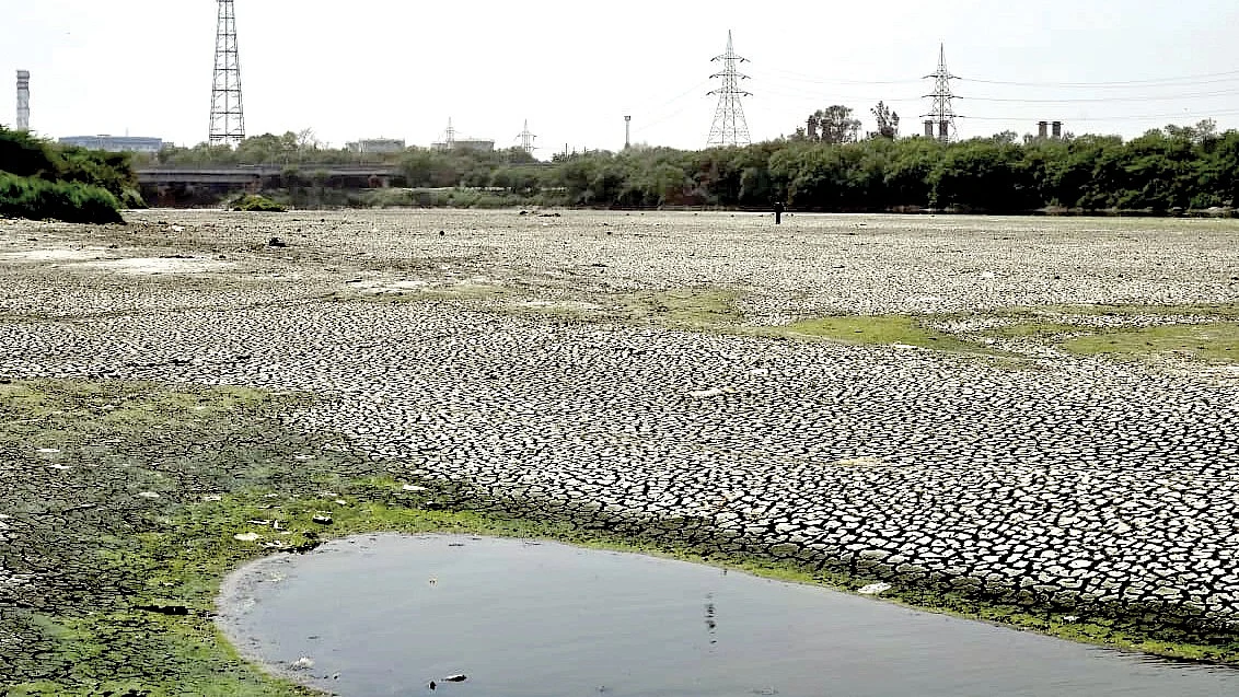 The Yamuna river