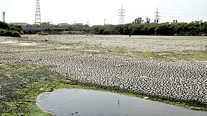 Why the Yamuna can’t be saved in Delhi