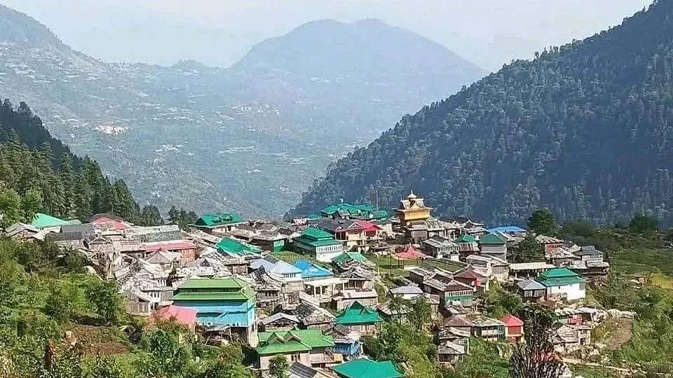 Where does the forest begin? Baga Sarhan, Kullu Valley, Himachal Pradesh