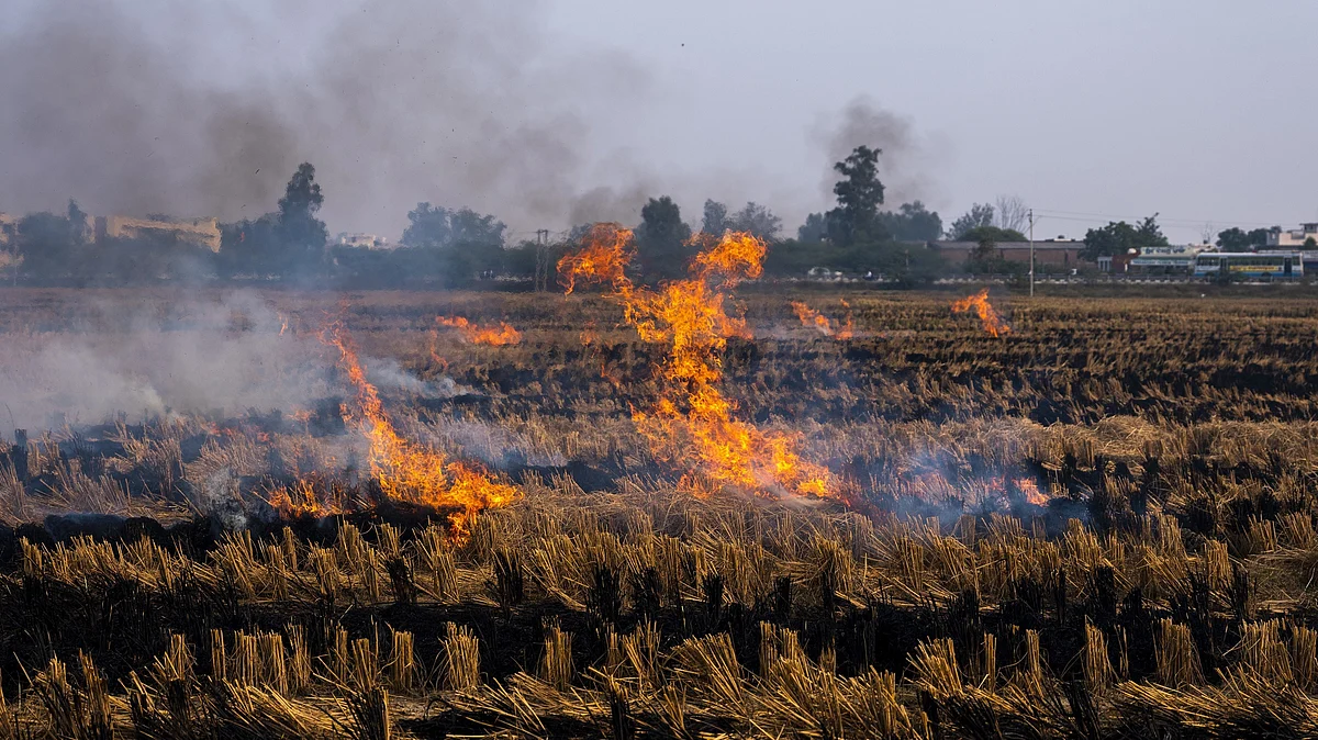 Stubble burning is among the main reasons for air pollution in Delhi-NCR.