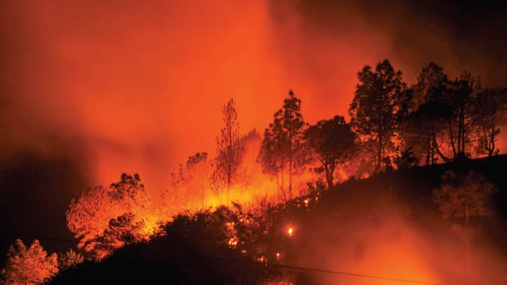 Wildfire near Shimla in Himachal Pradesh (Getty Images)